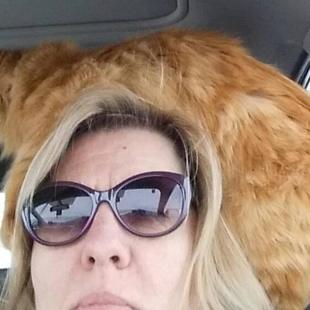 Meet your Posher, Lori